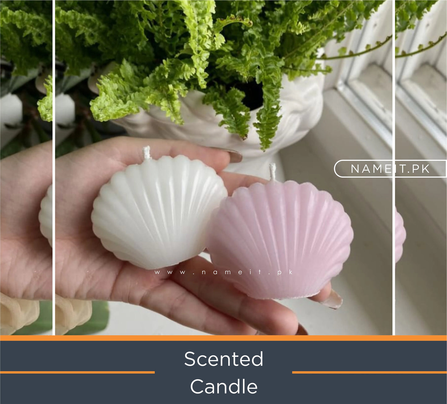 Decorative Oyster Seashell Mussel Candle - Clams Scallop Seashell Mussel Tabby Shaped Freesia Candle -Home Room Decor Candle - Bubble Cube Body Bust Soy Wax Candles