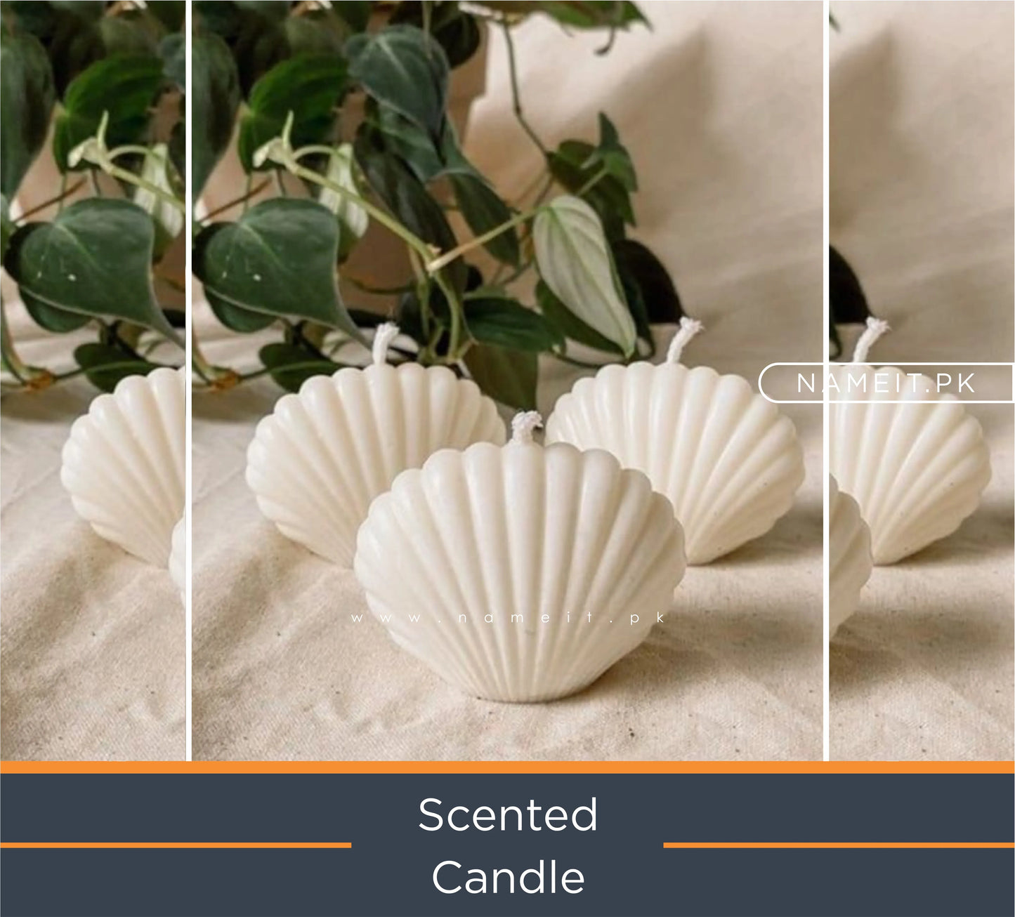 Decorative Oyster Seashell Mussel Candle - Clams Scallop Seashell Mussel Tabby Shaped Freesia Candle -Home Room Decor Candle - Bubble Cube Body Bust Soy Wax Candles