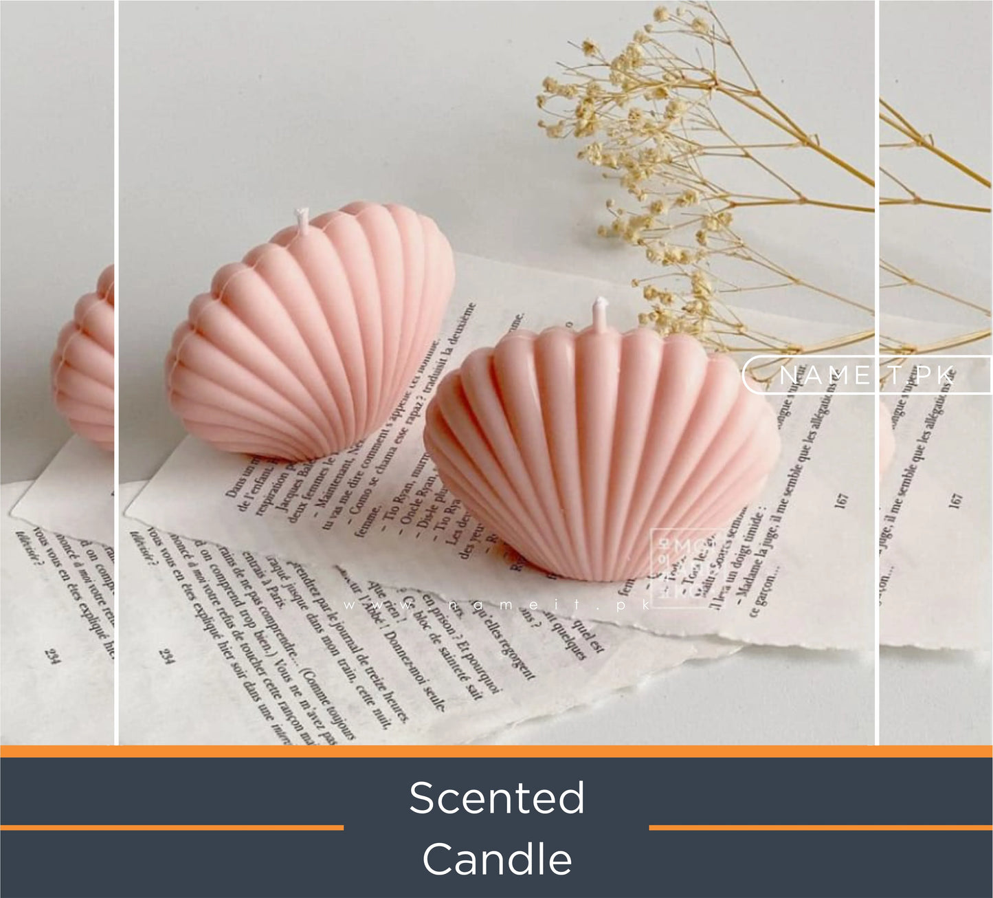 Decorative Oyster Seashell Mussel Candle - Clams Scallop Seashell Mussel Tabby Shaped Freesia Candle -Home Room Decor Candle - Bubble Cube Body Bust Soy Wax Candles