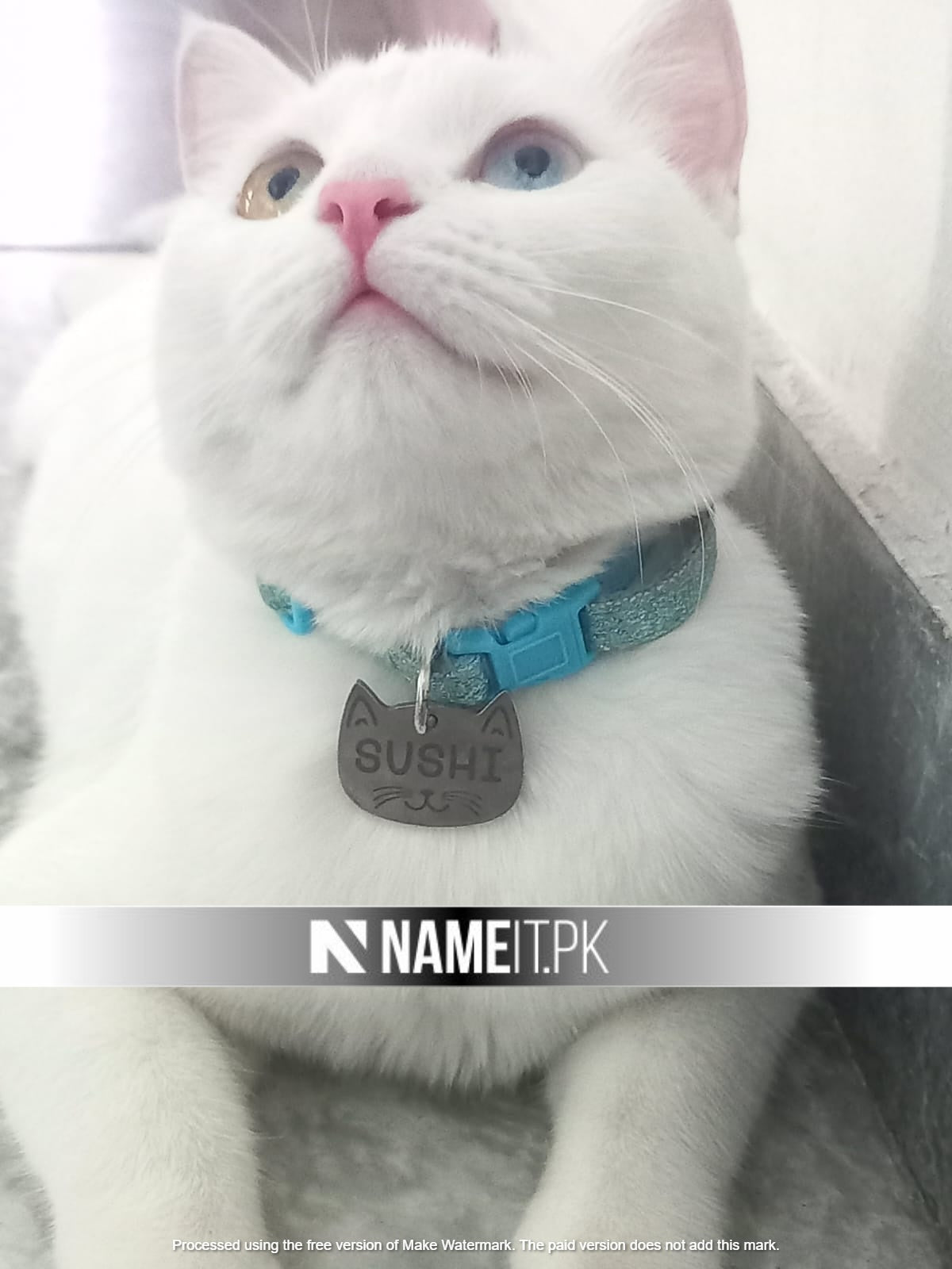 Pets Tag Personalized, Cat Face Tag, Pet Tags for Collars, Engraved Tag, Name Tag, Customized Pet Tag, Kitty Tag NAMEIT PAKISTAN