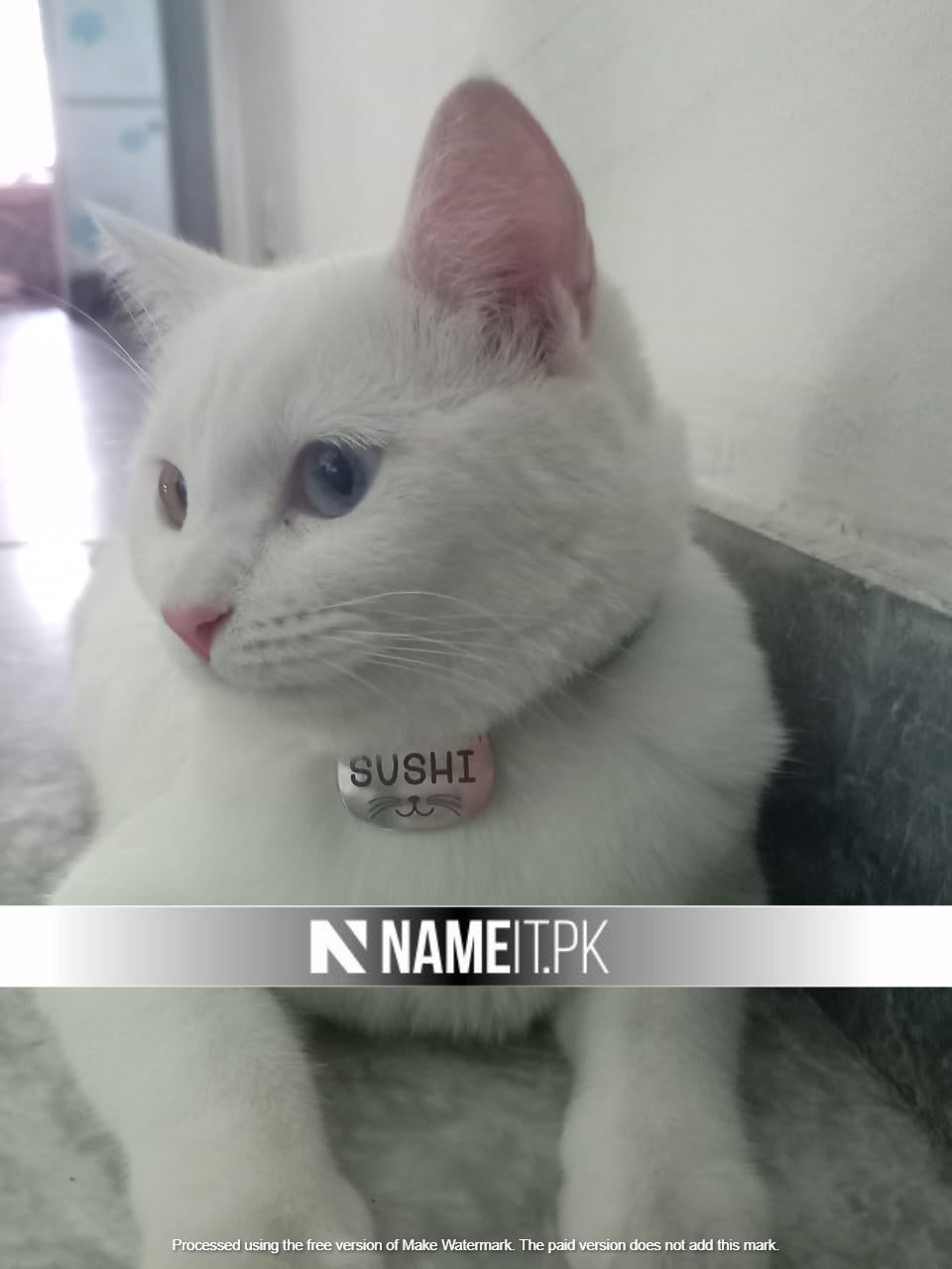 Pets Tag Personalized, Cat Face Tag, Pet Tags for Collars, Engraved Tag, Name Tag, Customized Pet Tag, Kitty Tag NAMEIT PAKISTAN