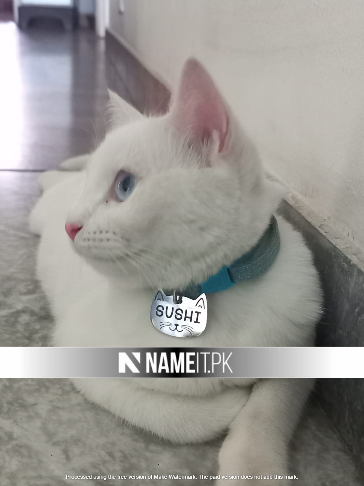 Pets Tag Personalized, Cat Face Tag, Pet Tags for Collars, Engraved Tag, Name Tag, Customized Pet Tag, Kitty Tag NAMEIT PAKISTAN