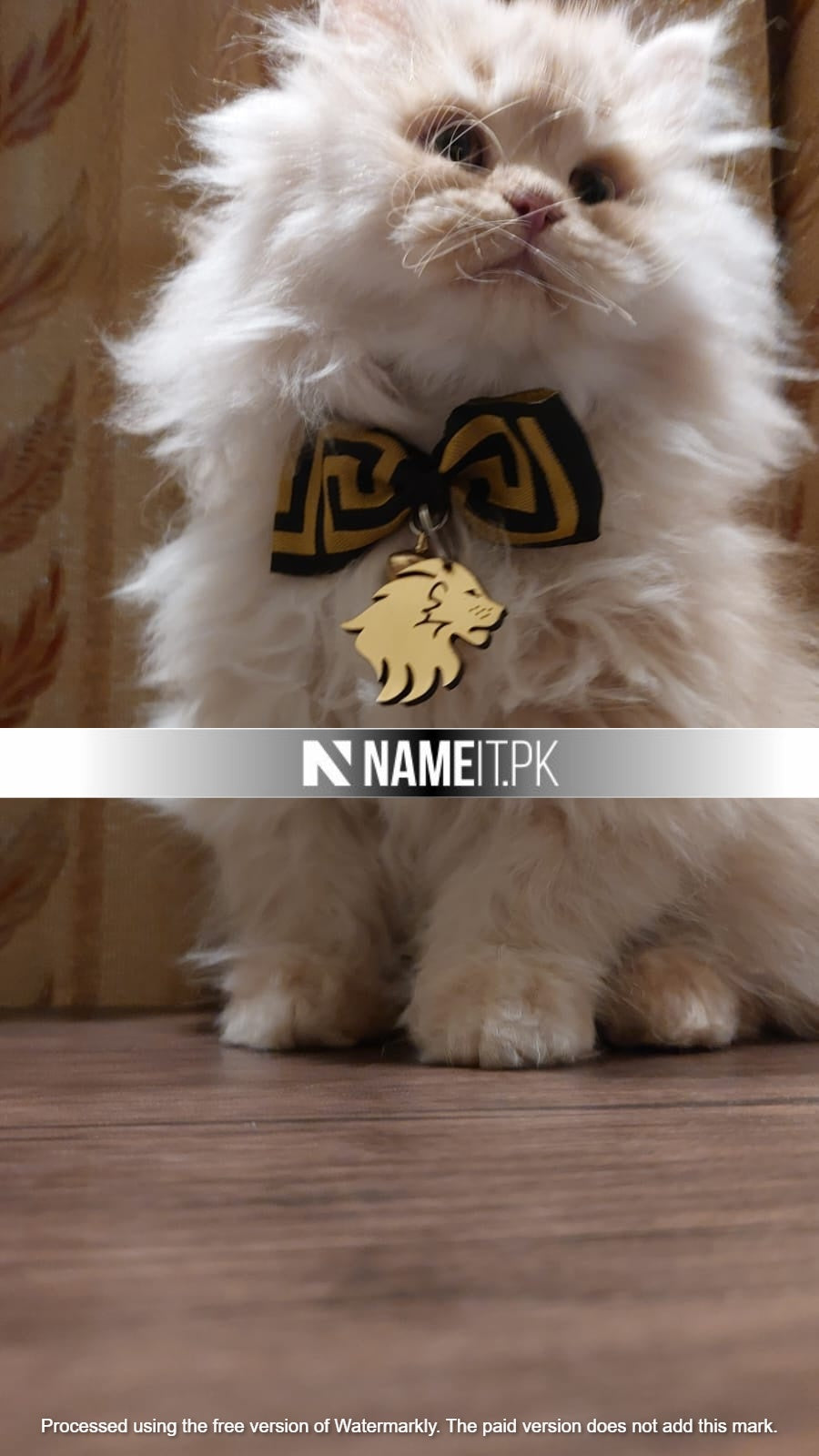 Pets Tag Personalized, Lion Shape Tag, Pet Tags for Collars, Engraved Tag, Name Tag, Customized Pet Tag, Kitty Tag, Golden Acrylic Material NAMEIT PAKISTAN